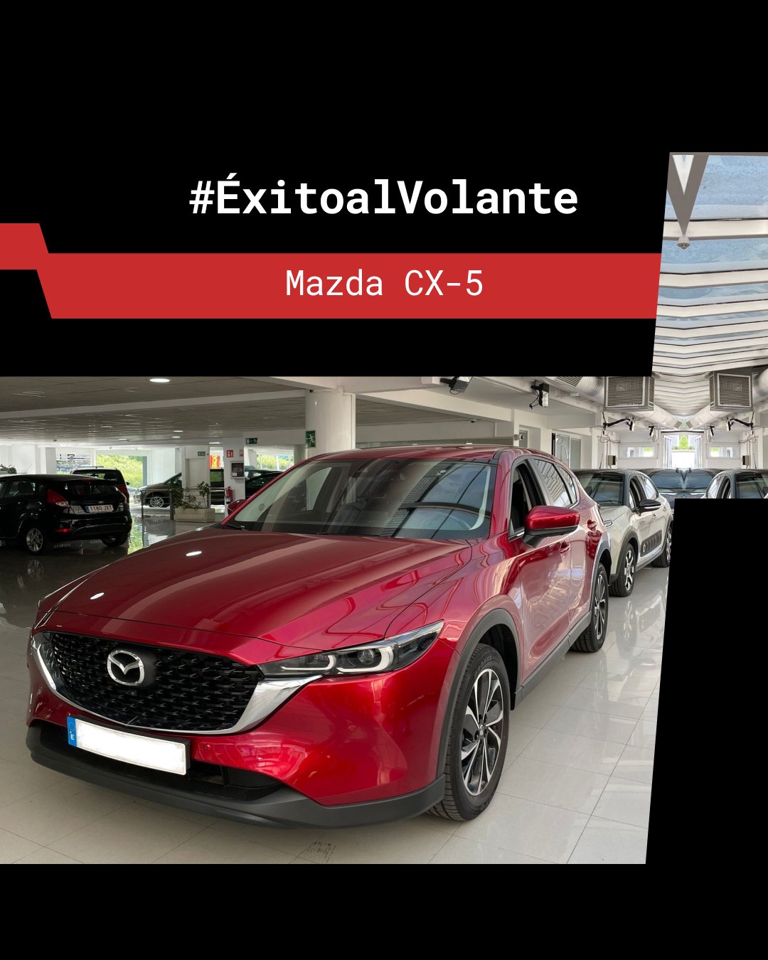 EXITO 5