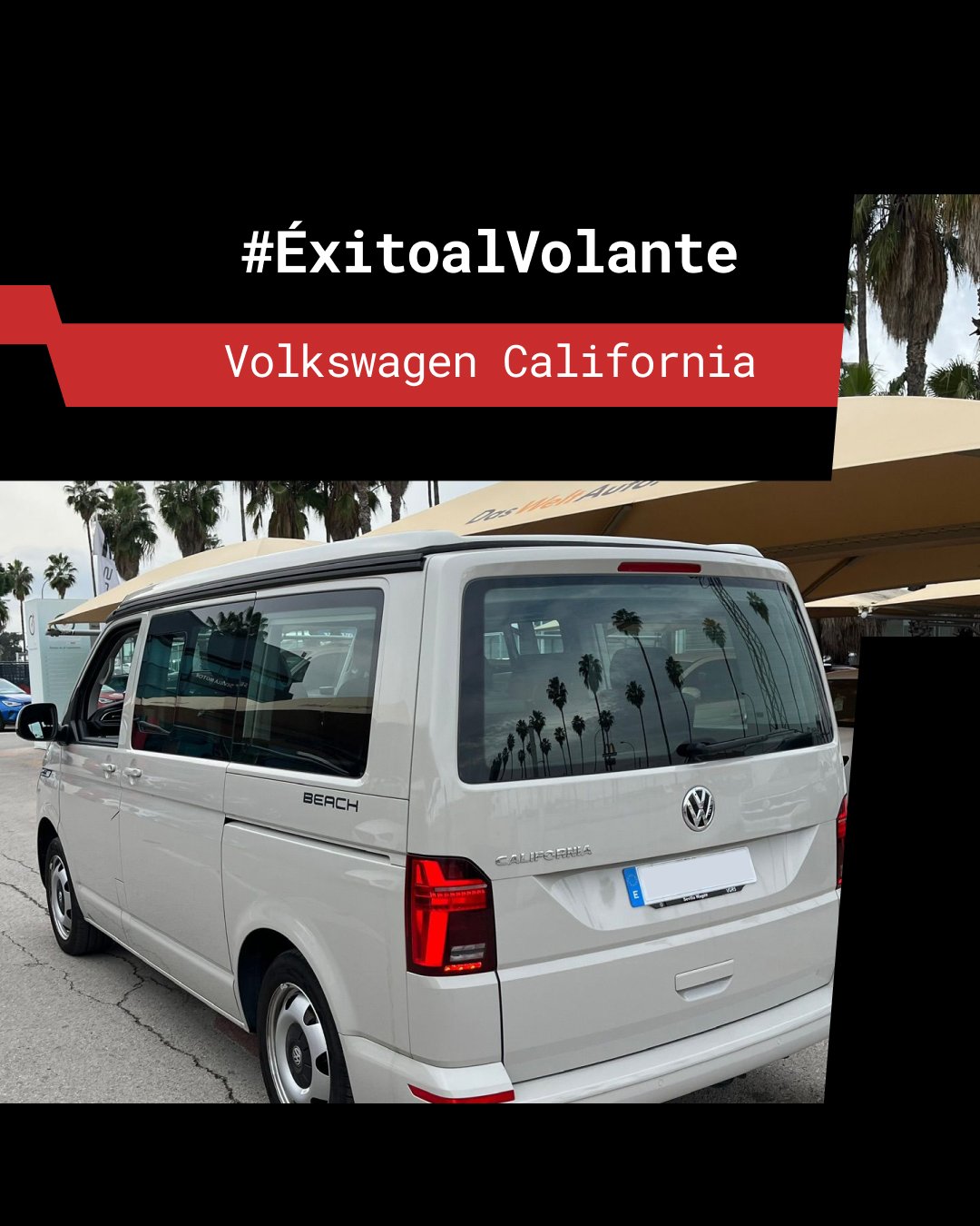 EXITO 7